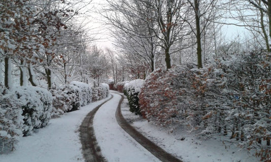 Back to School Autumn Sale. Huge Savings! 12.5% off RRP.