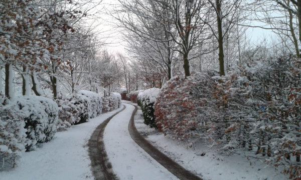 Back to School Autumn Sale. Huge Savings! 12.5% off RRP.