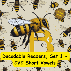 5 sets of the 10 book set of decodables for students who have completed Dcode Book 1